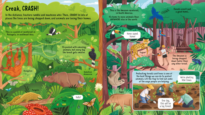 9781474999045 Usborne Look inside Animals in Danger [3]