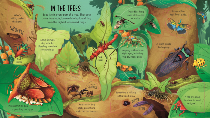9781805074076 Usborne Look inside Bug World [2]