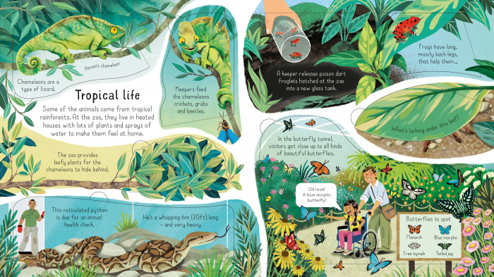 9781803701752 Usborne Look inside a Zoo [3]