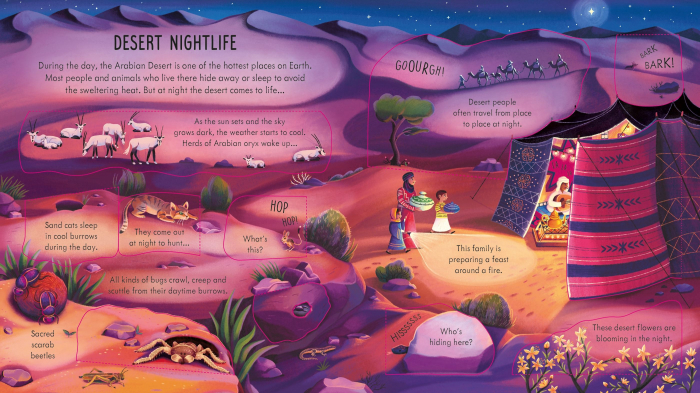 9781803701264 Usborne Look inside Night Time [3]