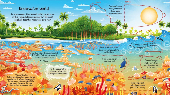 9781474998918 Usborne Look inside a Coral Reef [2]