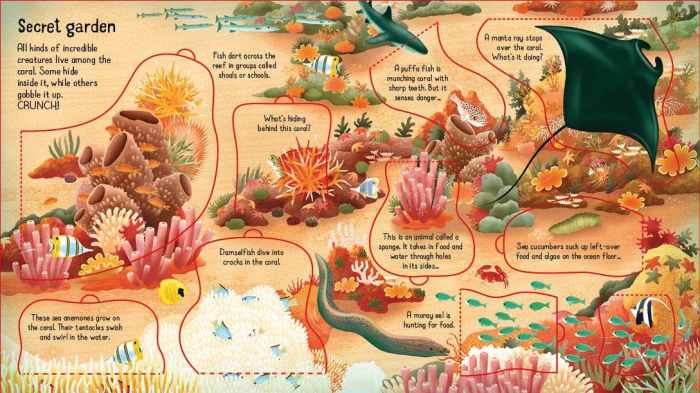 9781474998918 Usborne Look inside a Coral Reef [3]