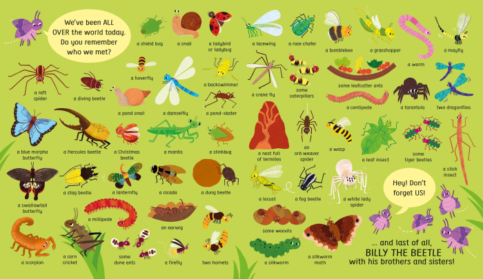 9781835408810 Usborne My First Lift-the-Flap Spot and Say Bugs [4]