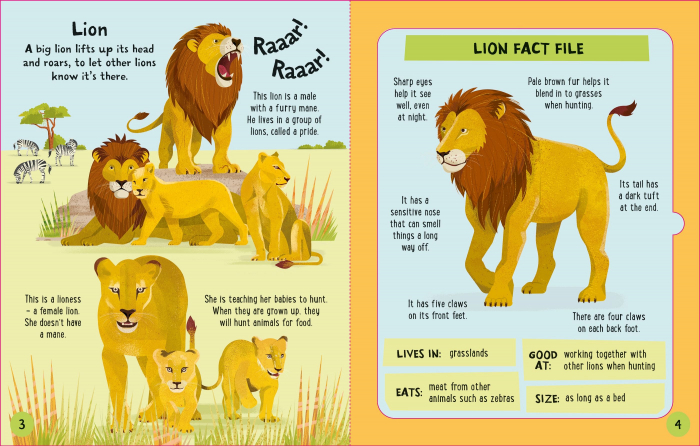 9781805077336 Usborne Slot-together Animals Book [3]