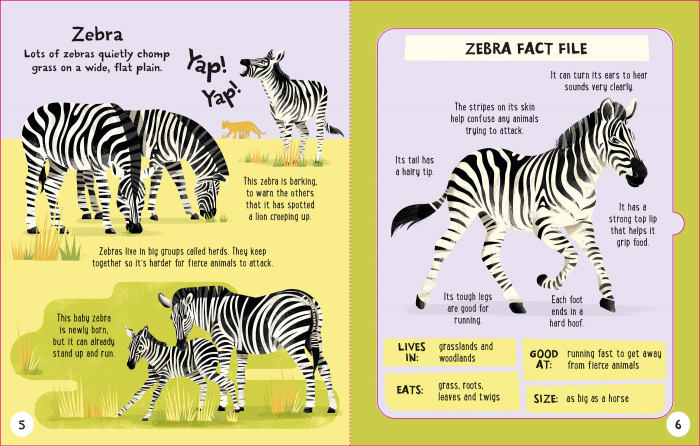 9781805077336 Usborne Slot-together Animals Book [6]