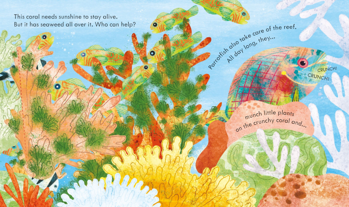 9781474982122 Usborne Peep inside a coral reef [4]