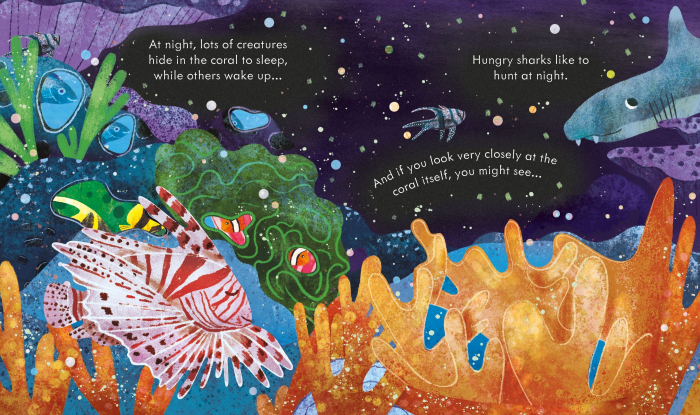 9781474982122 Usborne Peep inside a coral reef [3]
