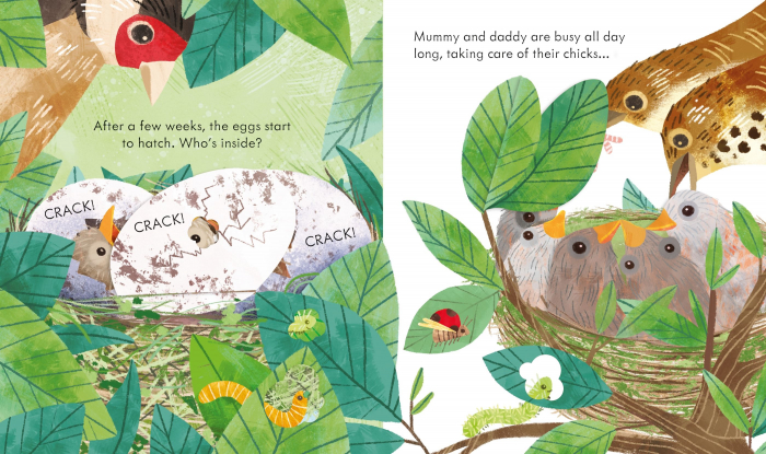 9781474969178 Usborne Peep inside a bird's nest [2]