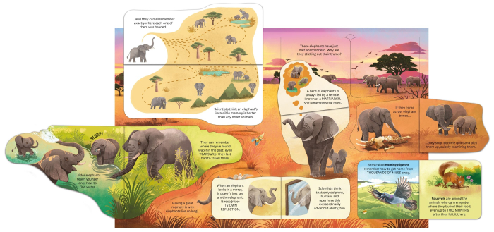 9781805074052 Usborne See inside Can Animals Think? [4]