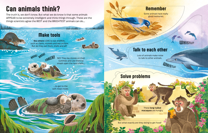 9781805074052 Usborne See inside Can Animals Think? [2]