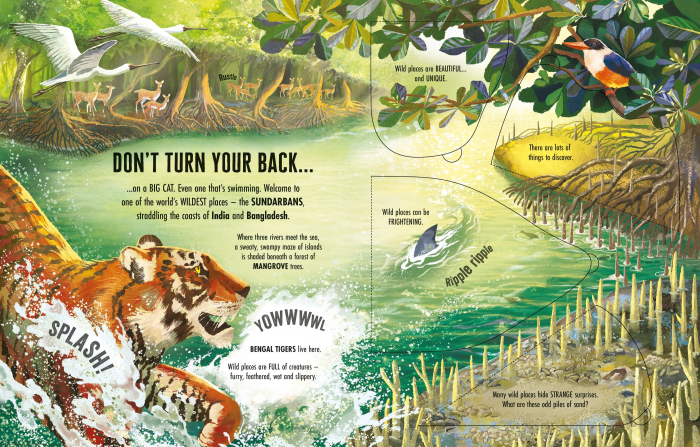 9781805315551 Usborne See inside Wild Places [5]