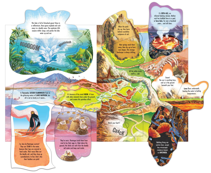 9781805315551 Usborne See inside Wild Places [4]