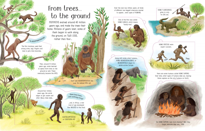 9781474952798 Usborne See Inside Evolution [3]