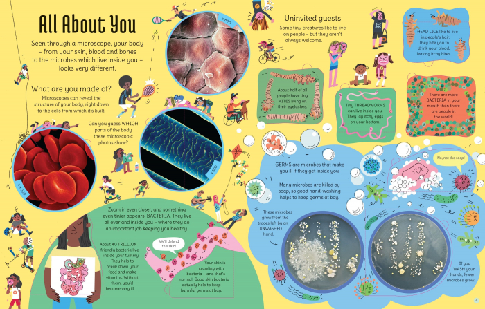 9781474986151 Usborne See Inside the Microscopic World [2]