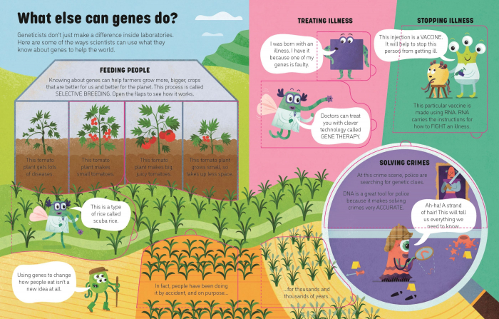 9781474943628 Usborne See Inside Genes and DNA [4]