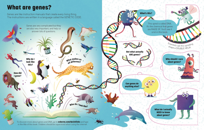 9781474943628 Usborne See Inside Genes and DNA [3]