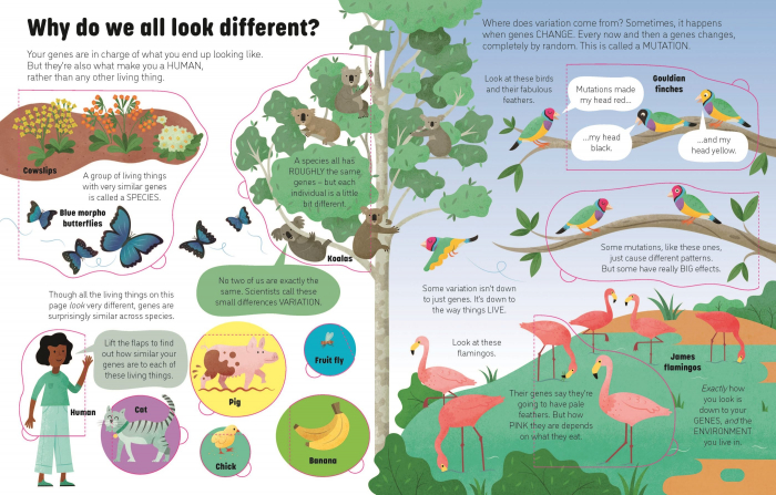 9781474943628 Usborne See Inside Genes and DNA [2]