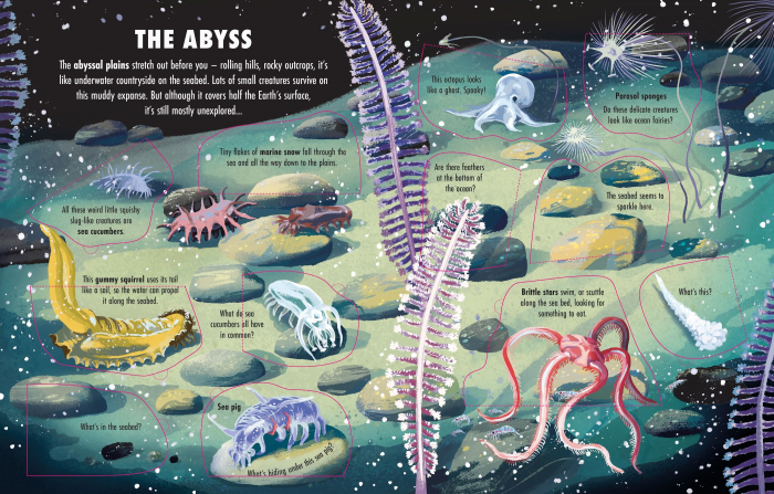 9781801313124 Usborne Extreme Planet: the Deep [4]