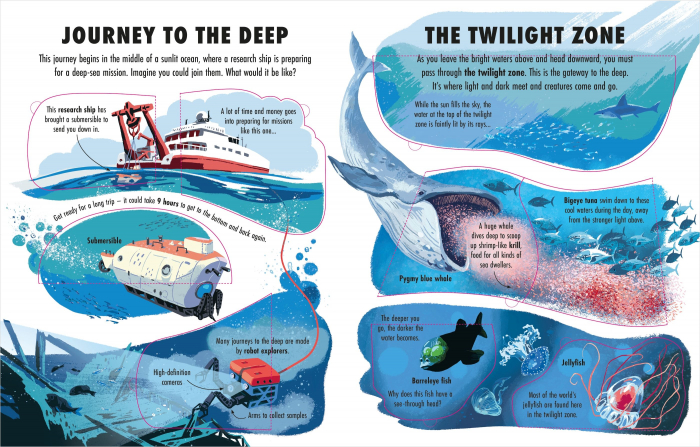 9781801313124 Usborne Extreme Planet: the Deep [3]
