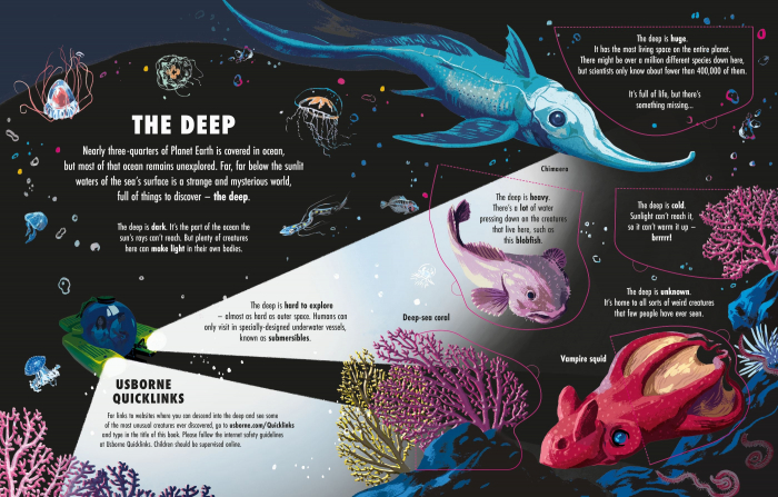 9781801313124 Usborne Extreme Planet: the Deep [2]