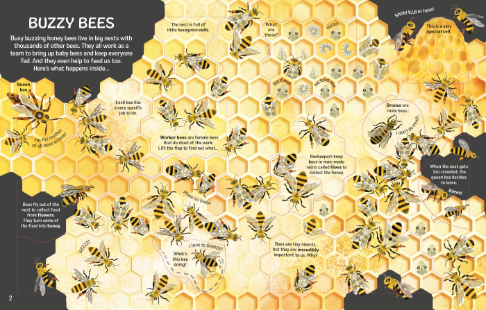 9781836044420 Usborne See inside Bugs and Butterflies [2]