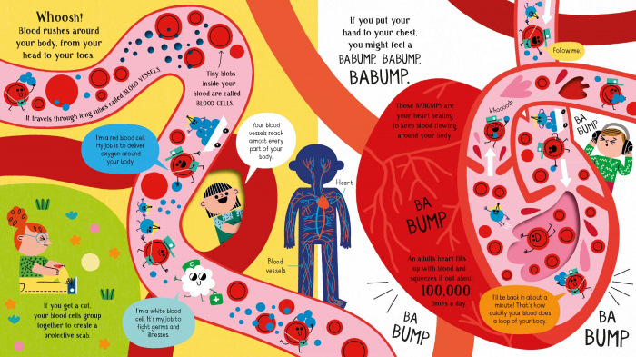 9781474998864 Usborne Step Inside Science: Your Body [3]