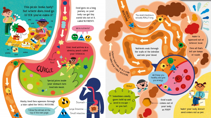 9781474998864 Usborne Step Inside Science: Your Body [4]