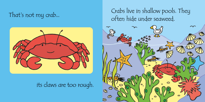 9781835404188 Usborne That's not my... jigsaw book: Under the sea [3]