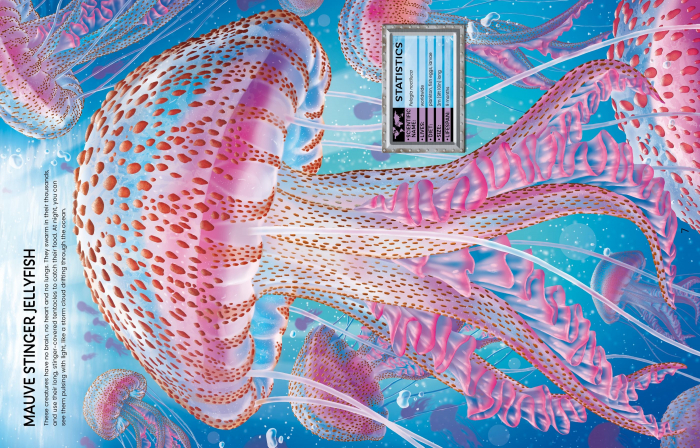 9781474998789 Build Your Own Sea Creatures [7]
