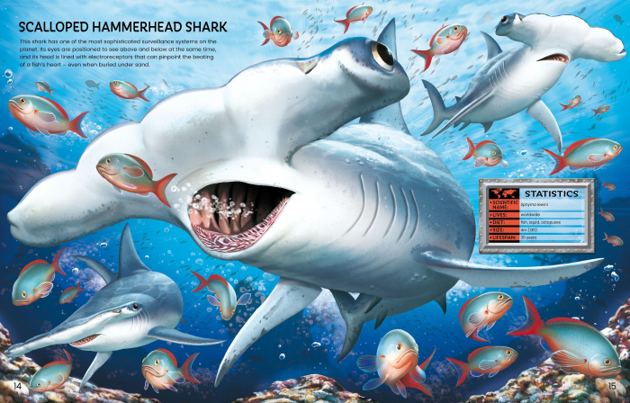 9781474998789 Build Your Own Sea Creatures [5]