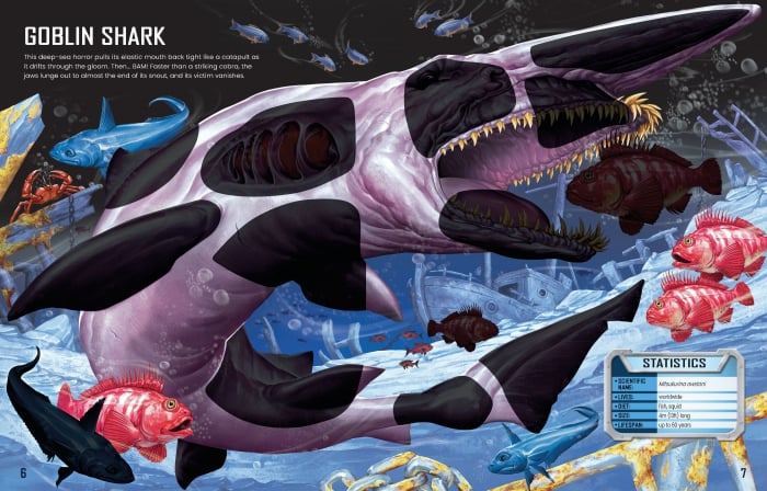 9781805074908 Usborne Build Your Own Sharks [4]