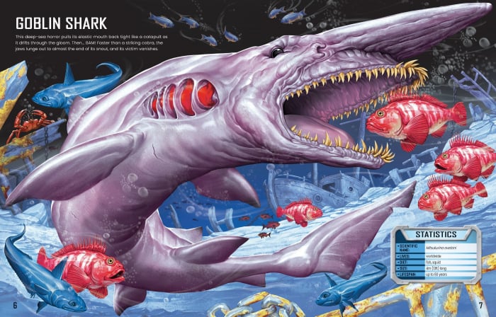 9781805074908 Usborne Build Your Own Sharks [5]