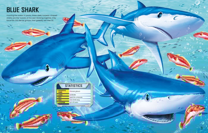 9781805074908 Usborne Build Your Own Sharks [3]