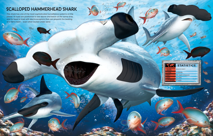 9781474998789 Build Your Own Sea Creatures [4]