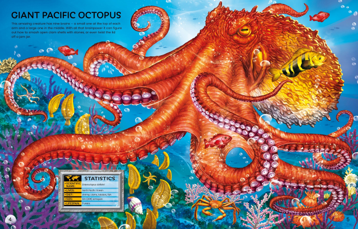 9781474998789 Build Your Own Sea Creatures [3]