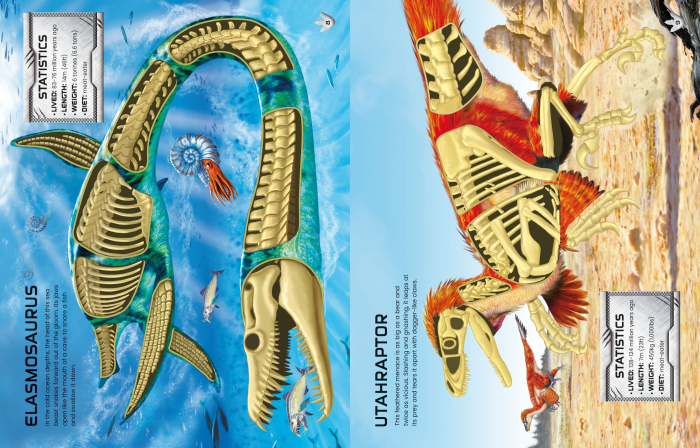 9781805315810 Usborne Build Your Own Dinosaurs and T. Rex [6]