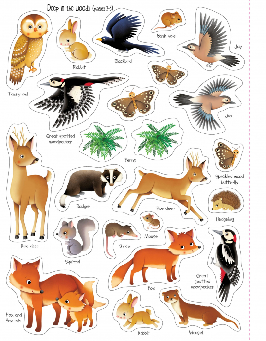 Carte cu stickers Natura, 170 stickers, "First Sticker Book Nature", Usborne [3]