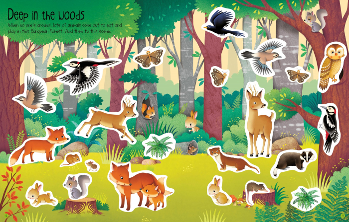 Carte cu stickers Natura, 170 stickers, "First Sticker Book Nature", Usborne [4]