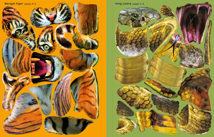 9781474985284 Build Your Own Deadly Animals [5]