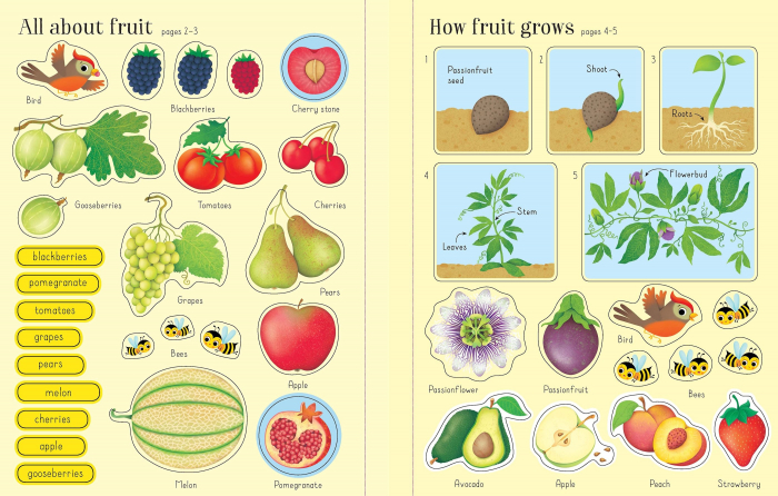 Carte cu stickers Fructe si Legume, format mare, 150 stickers, "First Sticker Book Fruit and Vegetables", Usborne [2]