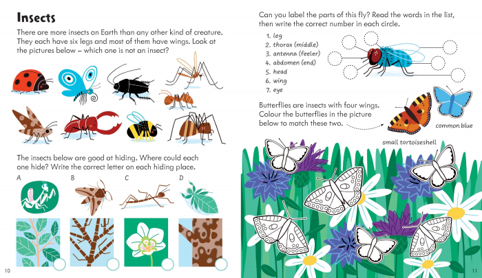 9781836041368 Usborne Activity Book Nature [2]