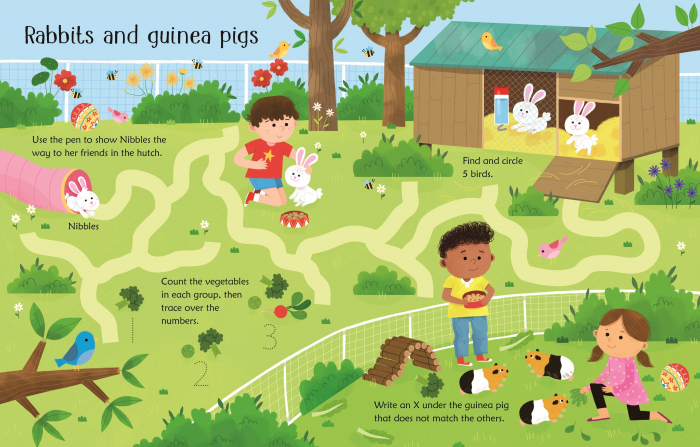 9781474995658 Usborne Wipe-Clean Pet Activities [2]