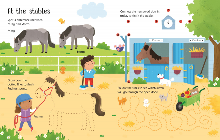 9781474995658 Usborne Wipe-Clean Pet Activities [3]