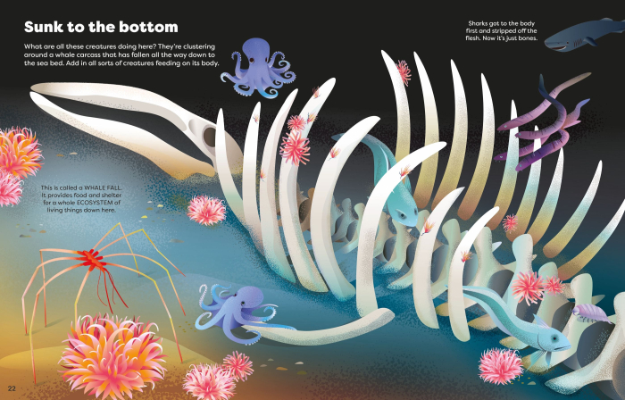 9781836040705 Usborne Big Sticker Book Weird Deep Sea Creatures [5]