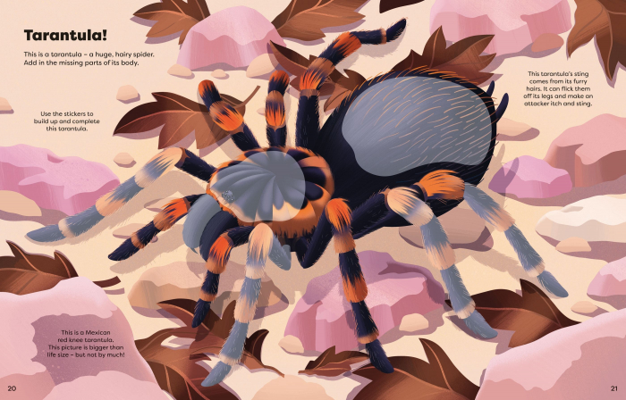 9781836040699 Usborne Big Sticker Book Bugs [2]