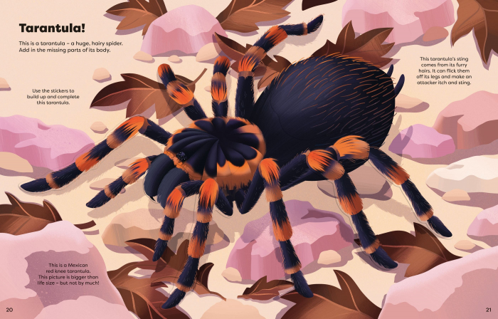 9781836040699 Usborne Big Sticker Book Bugs [3]