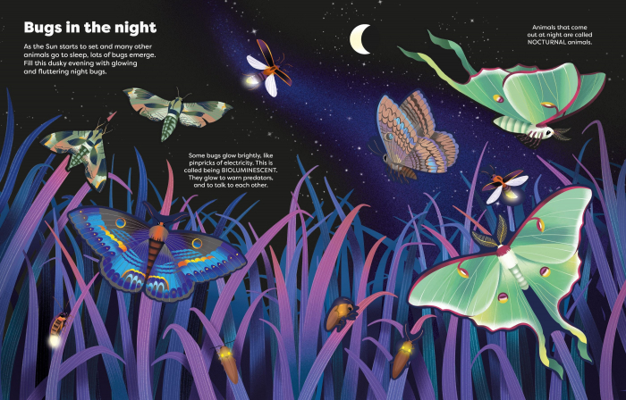 9781836040699 Usborne Big Sticker Book Bugs [5]