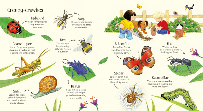 9781474962544 Usborne Poppy and Sam's Nature Spotting Book [4]