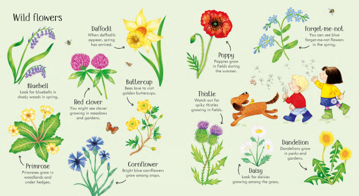 9781474962544 Usborne Poppy and Sam's Nature Spotting Book [3]
