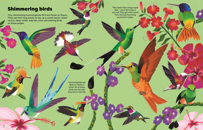 9781836042464 Usborne Shimmery Stickers Birds [3]